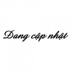 dang-cap-nhat